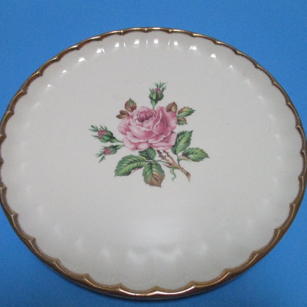 *Collectible WS George Half Century Dinner Plate
